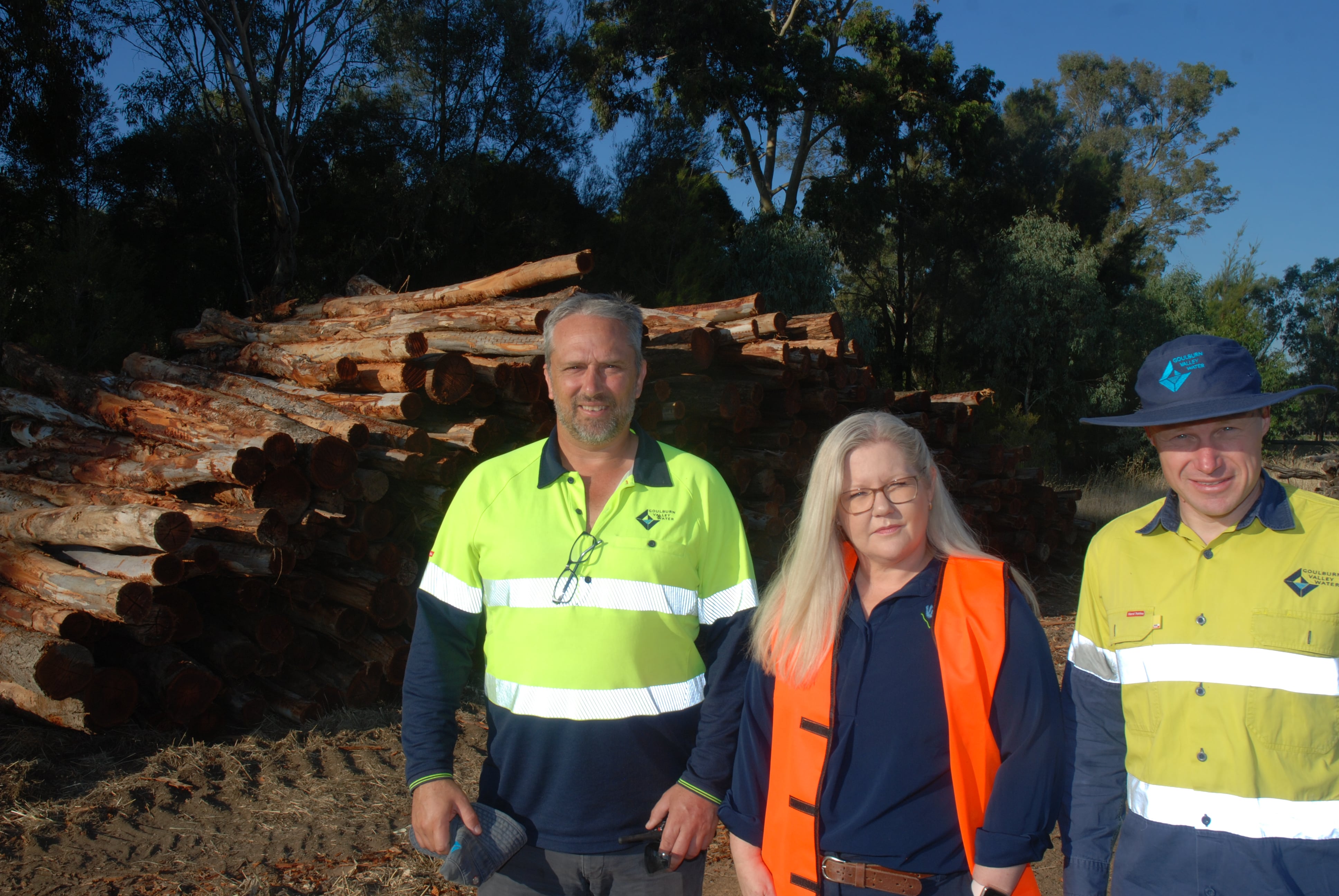 Waterways benefit from tree harvest